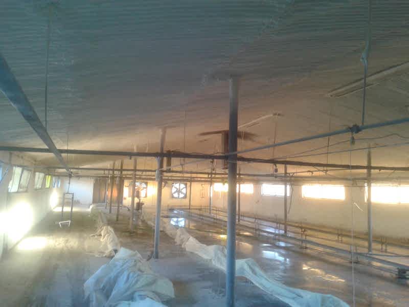 Hayvan Çiftliği İzolasyonu